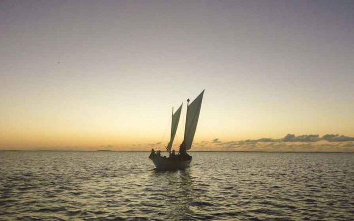 gap year sailing semester in florida